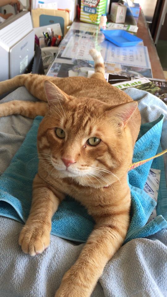 今日も暑いですよ〜