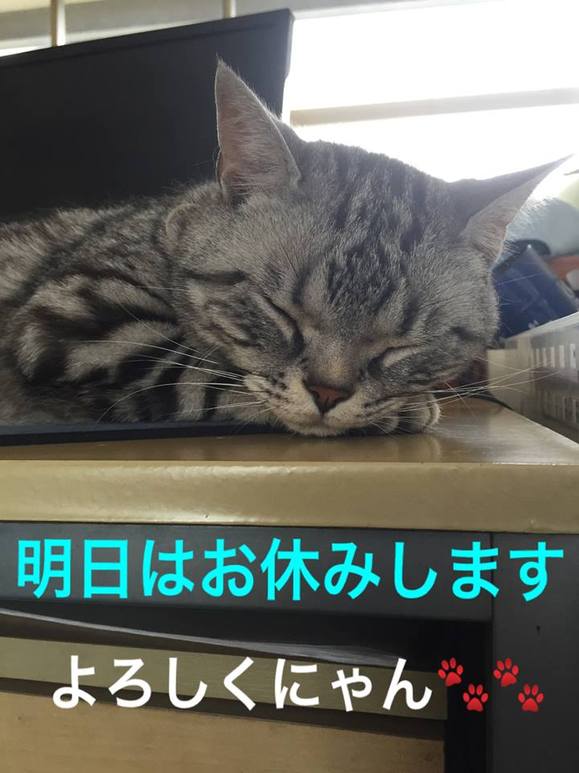 エルにゃん営業部長