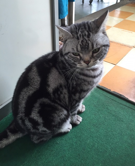 GW、休業のお知らせ