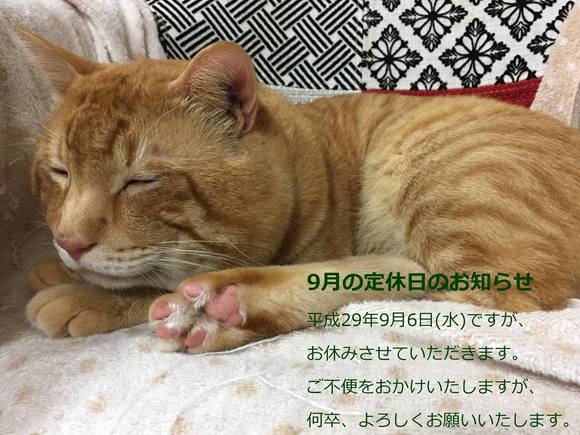 9月のお休みのお知らせ