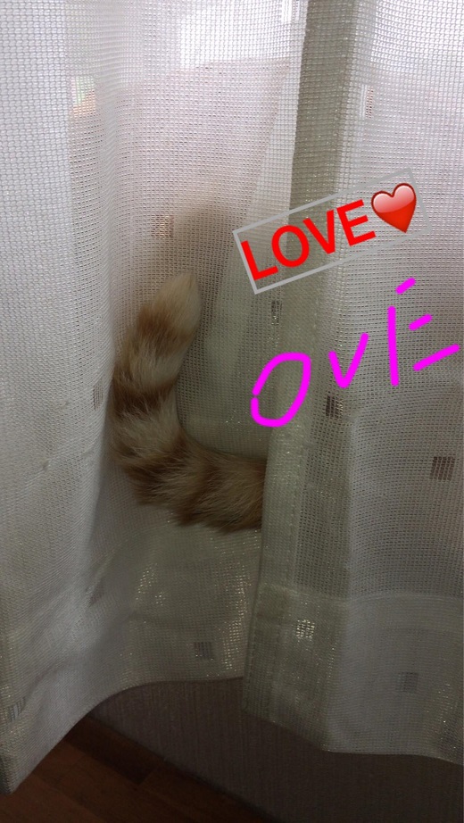 ラヴ　みゃぁくん