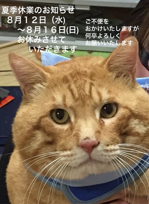 にゃん太－夏季休業日