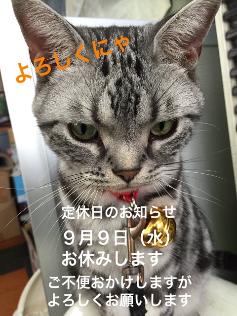 エルレ－9月定休日