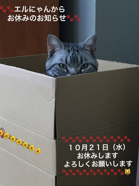 エルにゃん－10月定休日